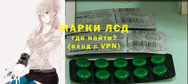 стафф Алзамай