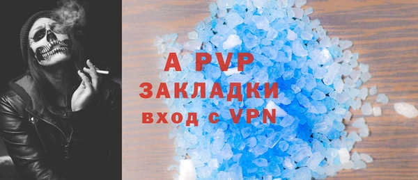 стафф Алзамай