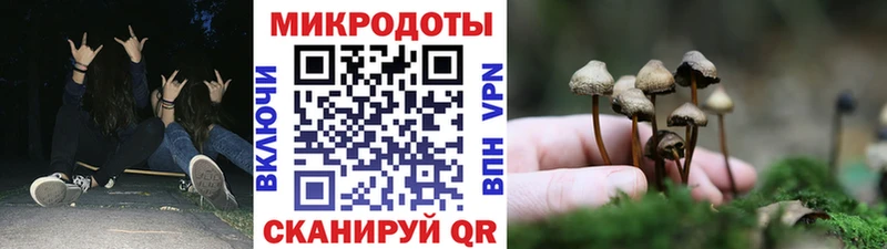Купить  Саров  Псилоцибиновые грибы мицелий 